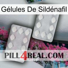 Gélules De Sildénafil 17